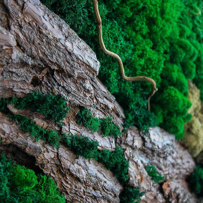 Forest Essence: Moss, Bark & Branch Wall Art | Eco-Friendly Nature Decor, Handmade Botanical Art