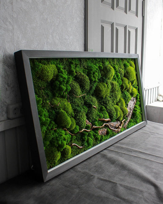 Illuminated Nature: Moss, Bark & Branch Wall Art with LED Backlighting | Eco-Friendly, Handmade Botanical Decor