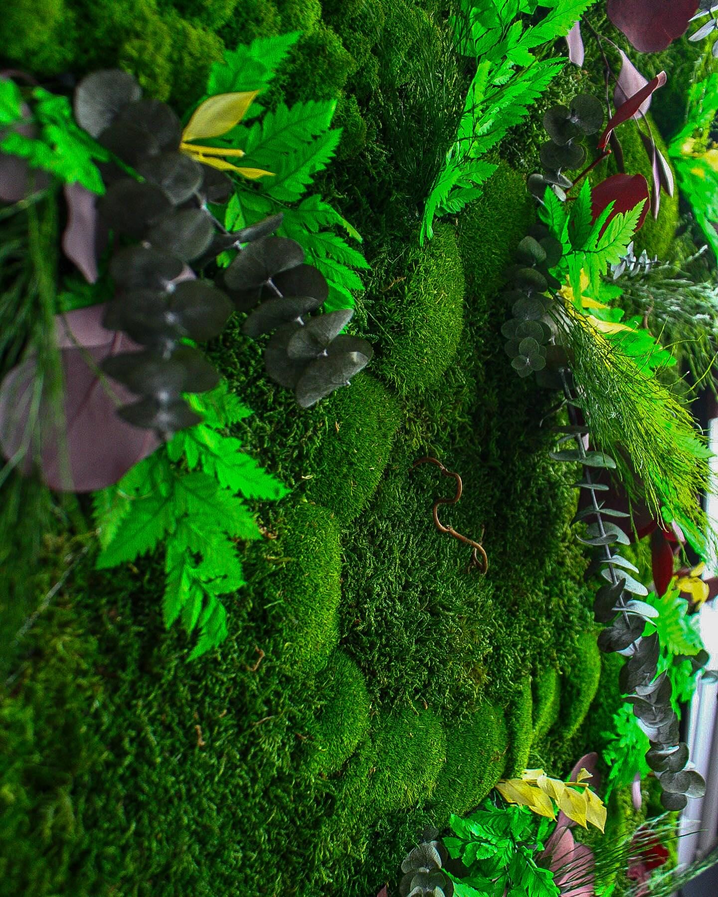 Nature’s Harmony Moss Art - Preserved Moss, Eucalyptus, Fern, Dried Flowers & Branches Wall Decor | Rustic Wall Art for Home or Office