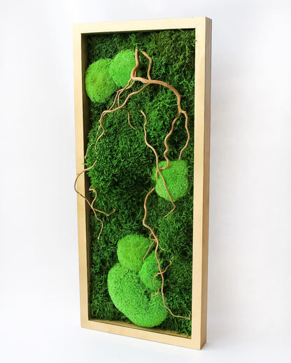 Serene Moss & Matsudana Willow Art | Wall Decor Preserved Moss Twisted Willow Branches | Eco-Friendly Nature-Inspired Design