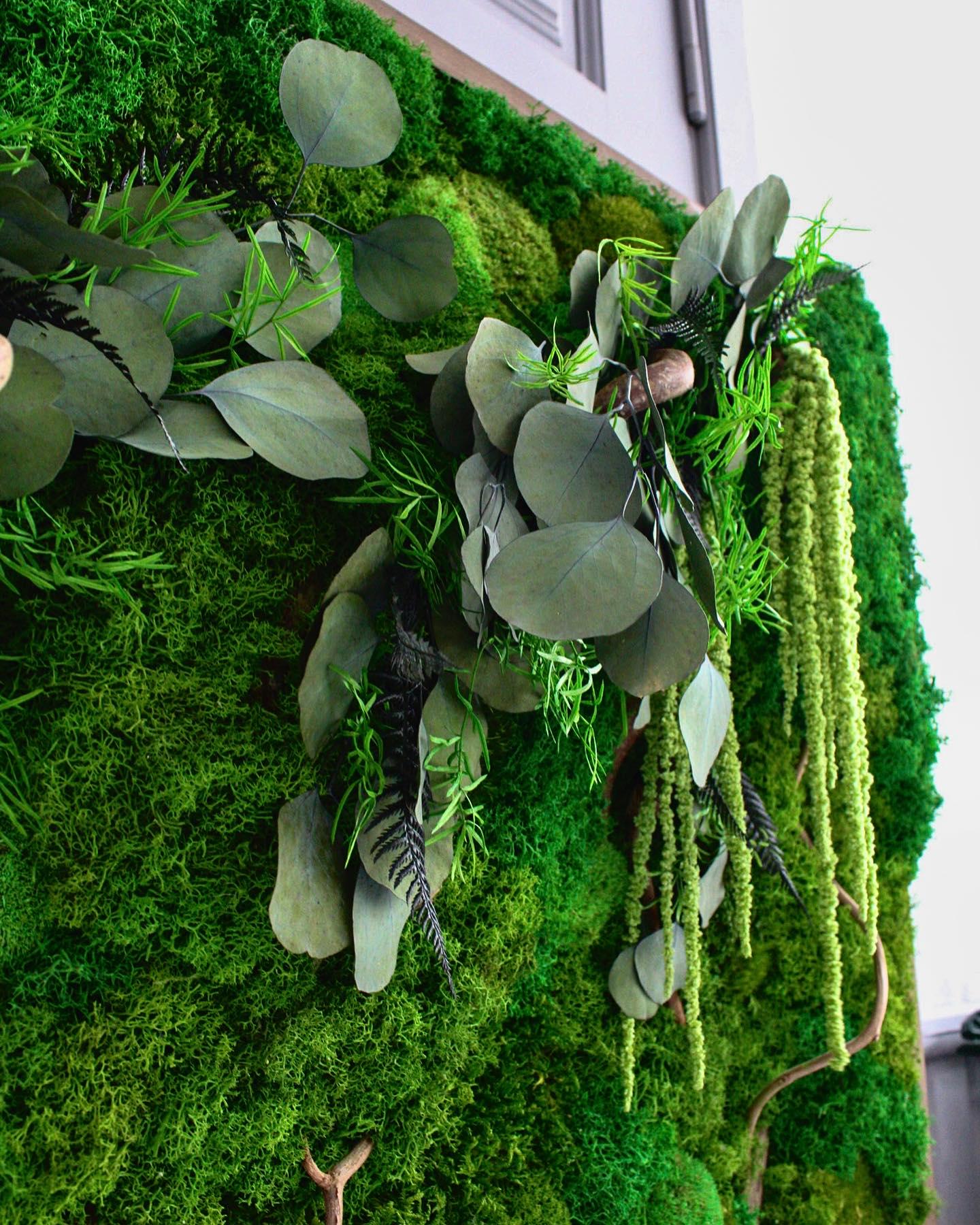 Elegant Moss & Eucalyptus Wall Art | Twisted Branches, Lush Greenery | Natural Wall Decor Accent