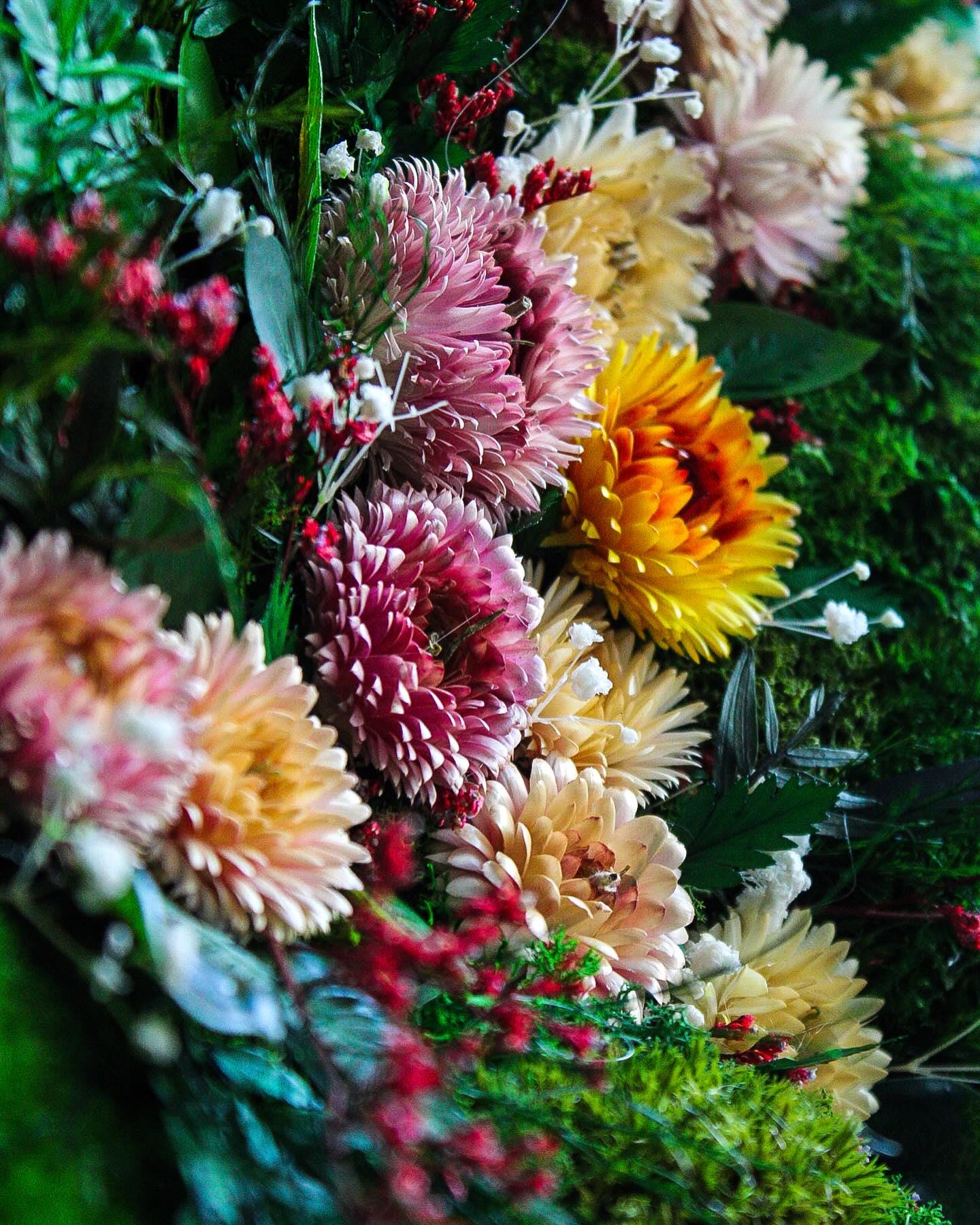 Colorful Moss & Dried Flower Symphony | Lush Ferns Botanical Bliss for Your Space