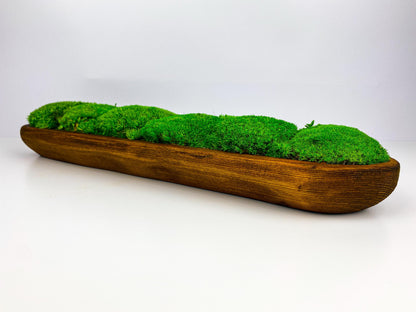 Preserved Moss Rustic Wooden Bowl – Handcrafted Centerpiece for Table, Moss Decor, Sustainable & Natural CAREFREE | VARIOUS-SIZE