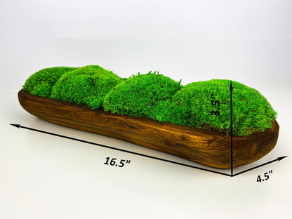 Rustic Table Arrangement, Handcrafted Moss Bowl Centerpiece, Natural Preserved Moss, Eco-Friendly Home Decor, Indoor Moss Art, CAREFREE