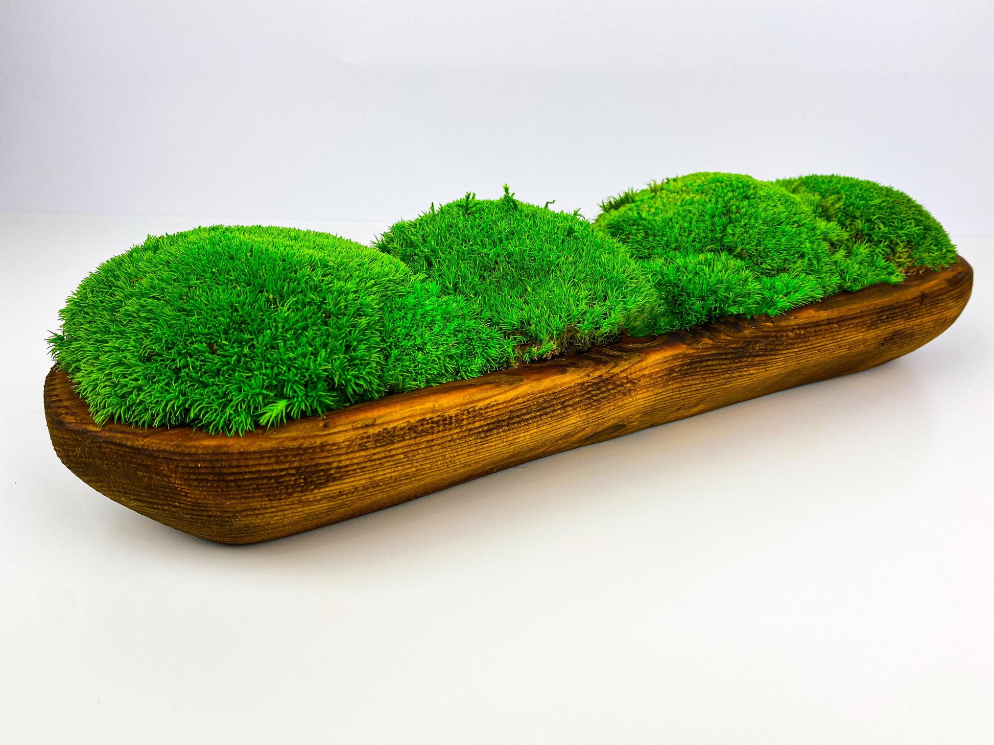 indoor moss planter Centerpiece Moss Planter Arrangement Pole Bun Pillow Tabletop, Rustic – NordicFloristic