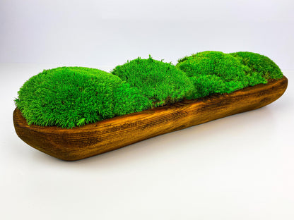 Centerpiece Moss Planter Arrangement Pole Bun Pillow Tabletop, Rustic Table Decor, Nature-Inspired Indoor Accent, CAREFREE | VARIOUS-SIZE