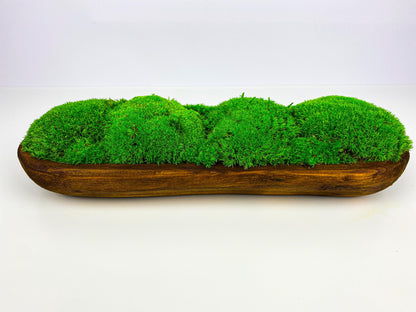 Centerpiece Moss Planter Arrangement Pole Bun Pillow Tabletop, Rustic Table Decor, Nature-Inspired Indoor Accent, CAREFREE | VARIOUS-SIZE