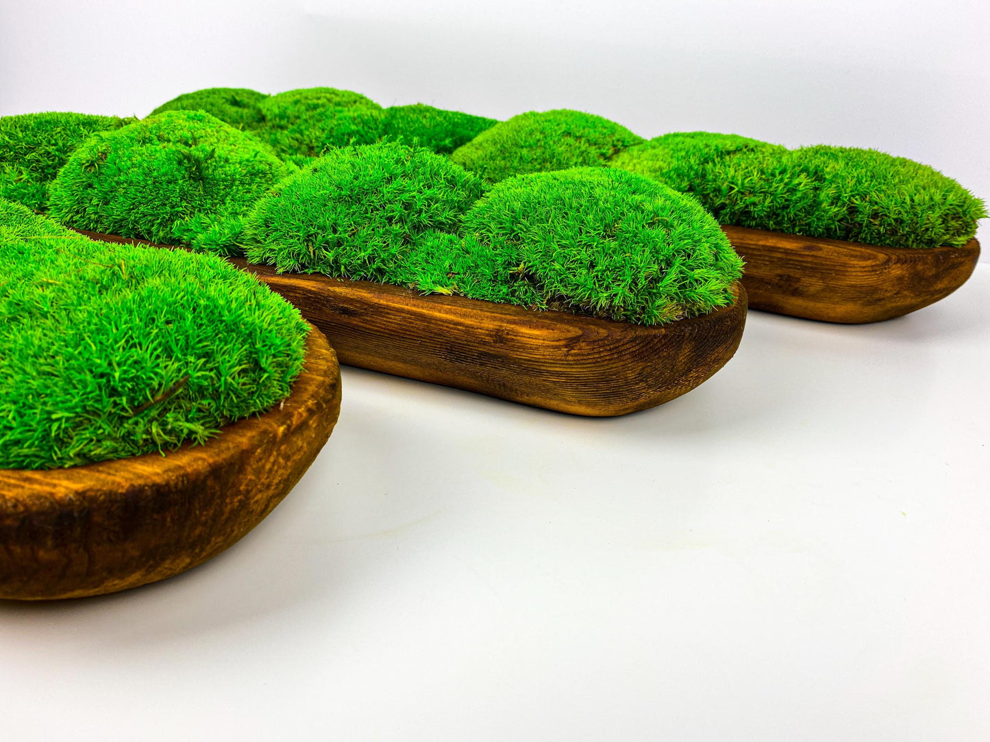 Centerpiece Preserved Moss Planter, Minimalist Greenery for Tabletop or Shelves, CAREFREE | VARIOUS-SIZE