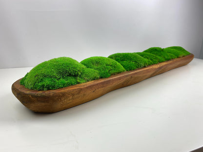 Artisan Preserved Moss Planter Dough Bowl Centerpiece Toptable or Shelves Decoration CAREFREE | VARIOUS-SIZE