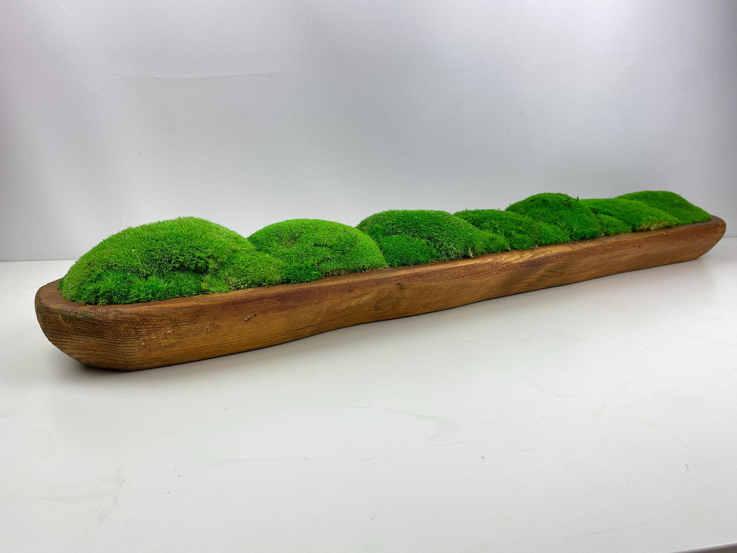 Artisan Preserved Moss Planter Dough Bowl Centerpiece Toptable or Shelves Decoration CAREFREE | VARIOUS-SIZE