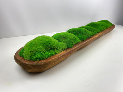 Artisan Preserved Moss Planter Dough Bowl Centerpiece Toptable or Shelves Decoration CAREFREE | VARIOUS-SIZE