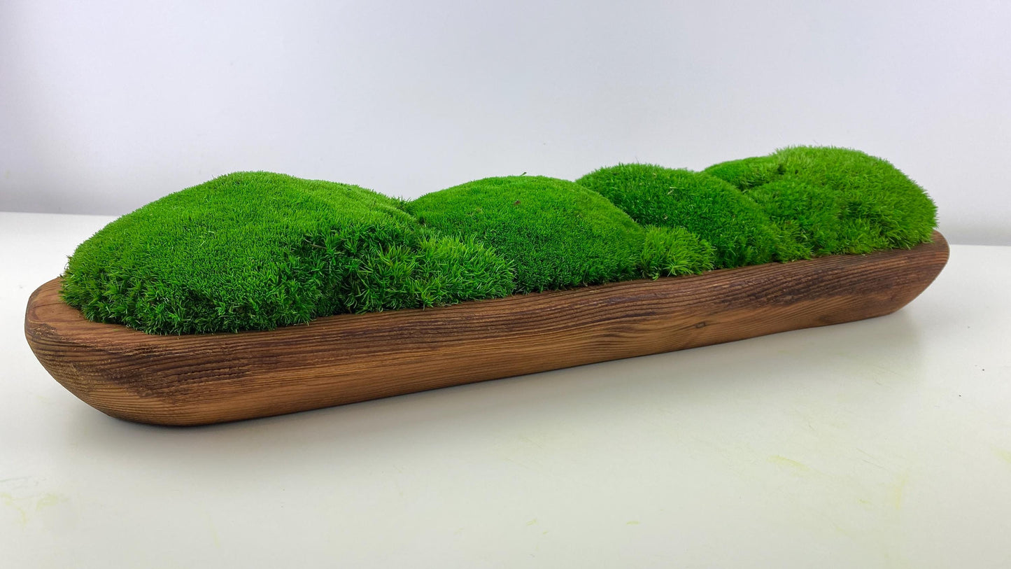 Moss Dough Bowl, Wedding Table Centerpiece, Preserved Moss, Emerald Green Decor, Long Bowl,Shelves Decoration CAREFREE | VARIOUS-SIZE