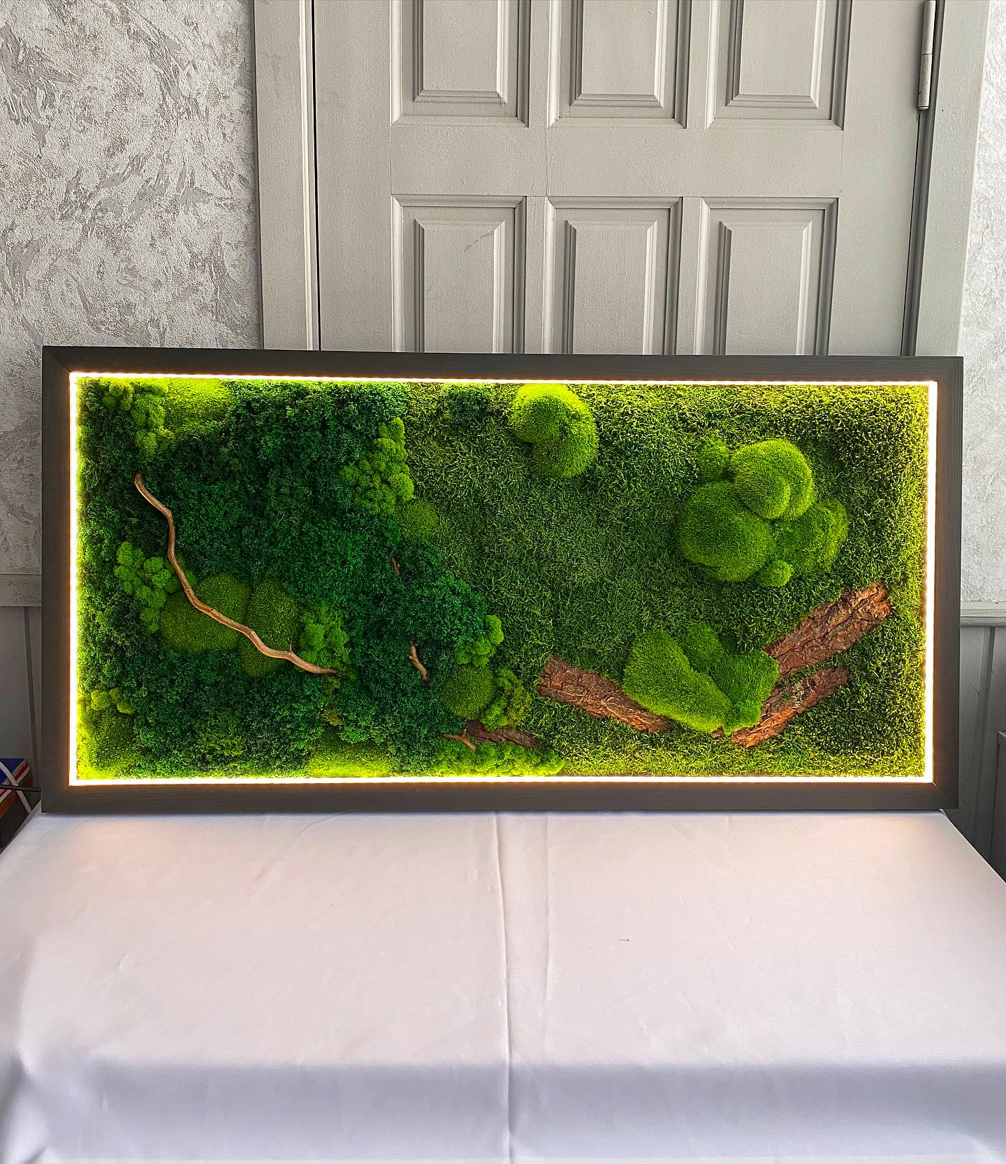 Illuminated Preserved Moss Wall Art with LED Lighting, Eco-Friendly Nature-Inspired Decor, Custom Wood & Moss Art, Unique Botanical Gift