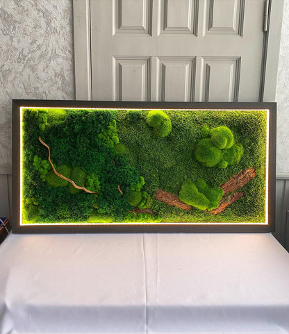 Illuminated Preserved Moss Wall Art with LED Lighting, Eco-Friendly Nature-Inspired Decor, Custom Wood & Moss Art, Unique Botanical Gift