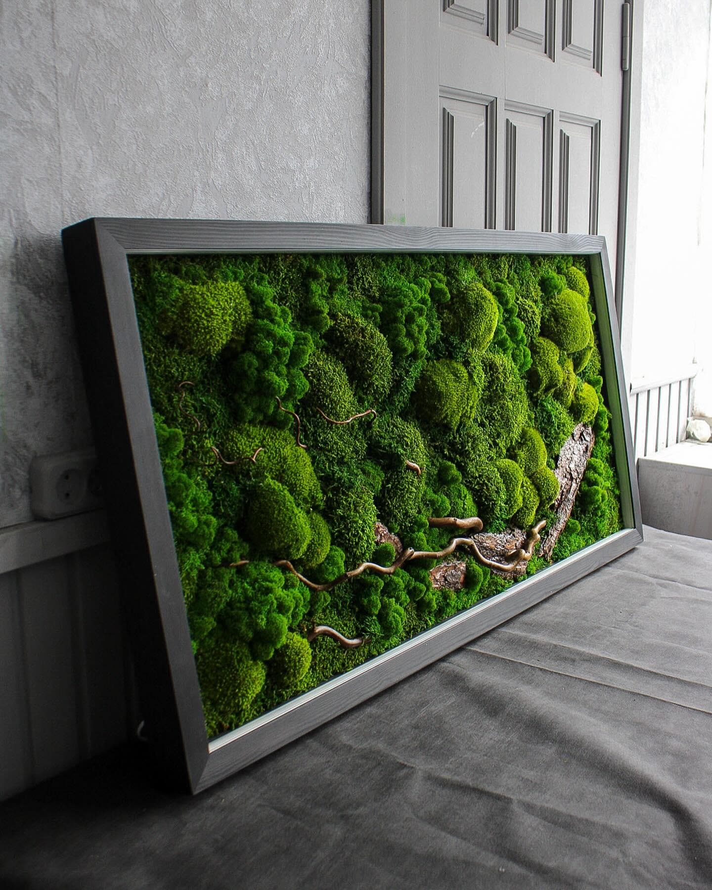 Illuminated Preserved Moss Wall Art with LED Lighting, Eco-Friendly Nature-Inspired Decor, Custom Wood & Moss Art, Unique Botanical Gift