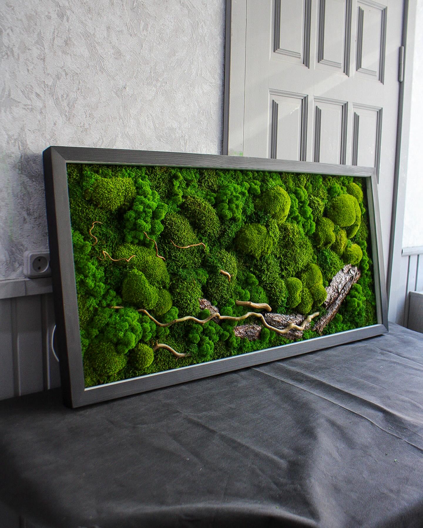 Illuminated Preserved Moss Wall Art with LED Lighting, Eco-Friendly Nature-Inspired Decor, Custom Wood & Moss Art, Unique Botanical Gift