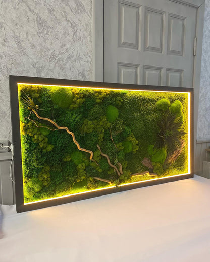 Warm LED-Lit Preserved Moss Wall Art Fern Leaves, Bark & Tiki Grass, Eco-Friendly Natural Decor, Custom Botanical Art, Unique Gift