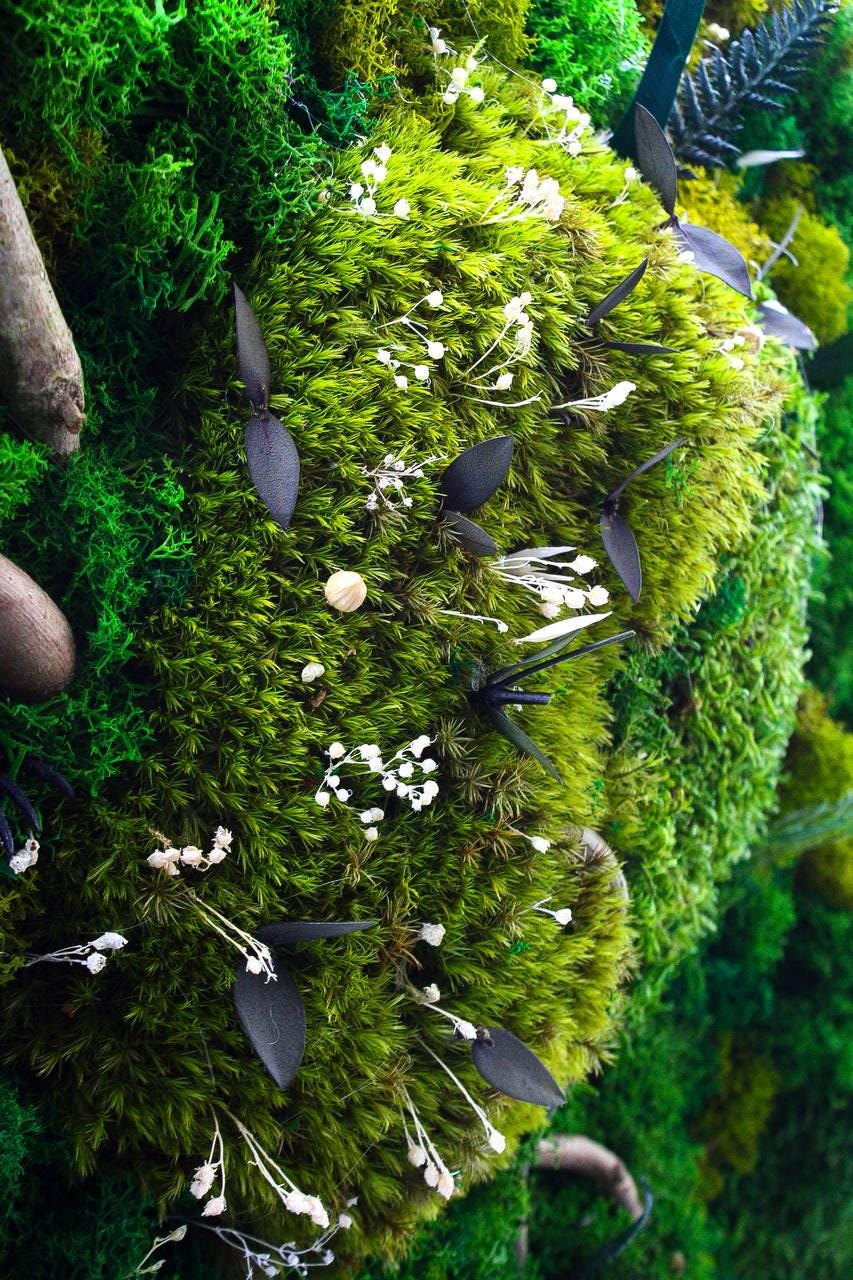 Bright LED Moss Wall Art Ferns, Eucalyptus, Dried Flowers & Branches, Eco-Friendly Nature Decor, Unique Botanical Piece | VARIOUS SIZES