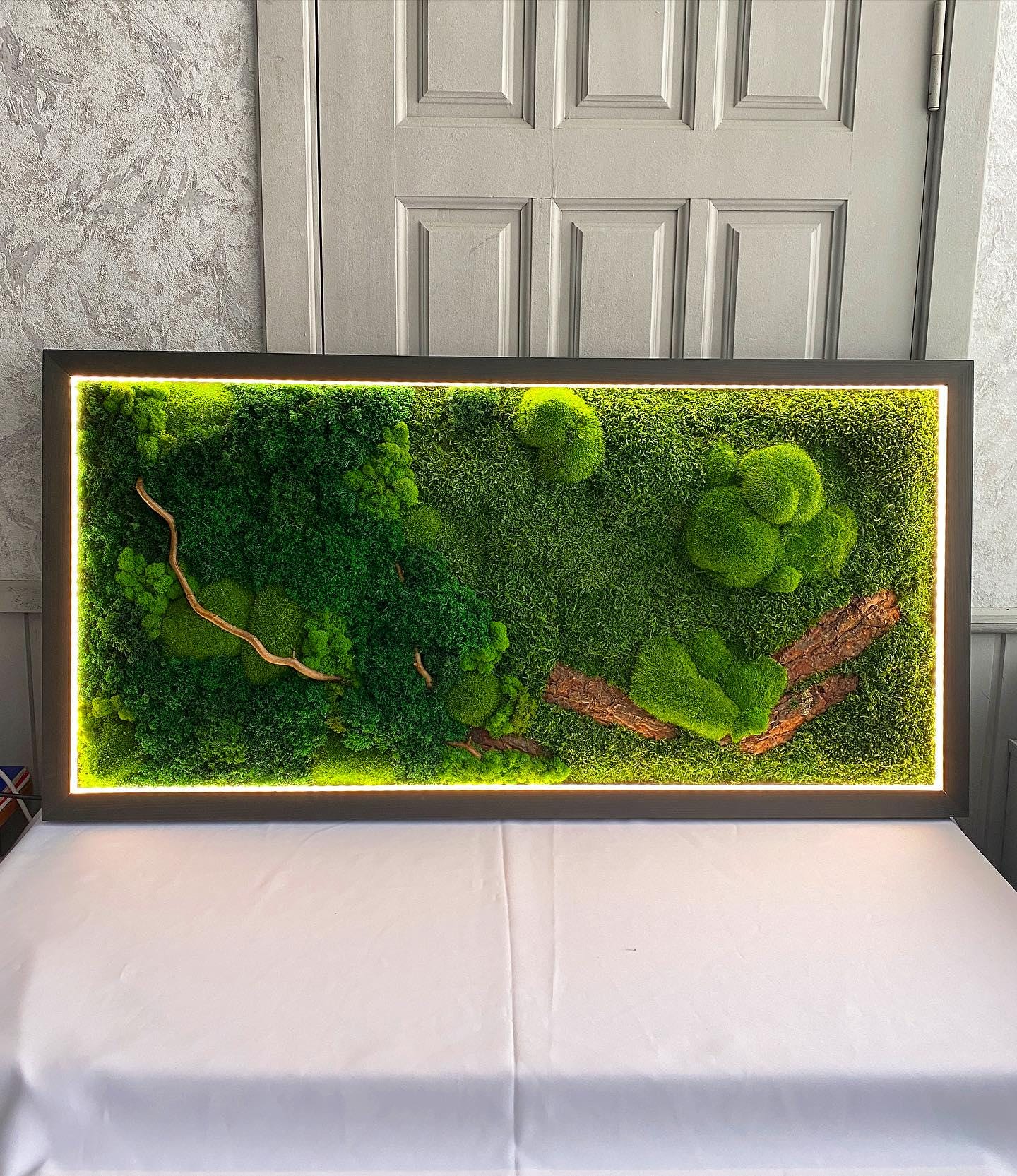 Warm LED-Lit Preserved Moss Art with Natural Bark & Branches, Eco-Friendly Rustic Decor, Handcrafted Botanical Wall Art | VARIOUS SIZES