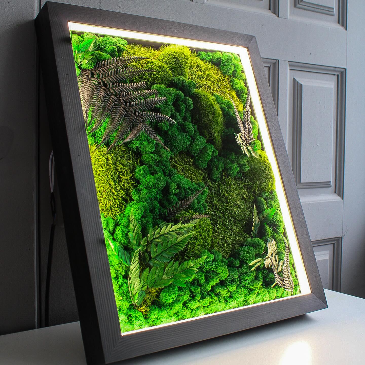 Woodland Oasis Eco-Friendly Moss & Fern Wall Art with Bright LED Light, Nature-Inspired Botanical Decor, Preserved Moss Ferns, White LED