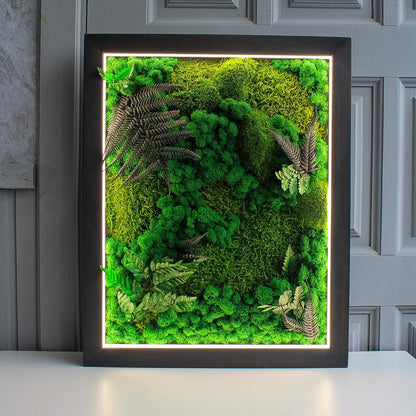 Woodland Oasis Eco-Friendly Moss & Fern Wall Art with Bright LED Light, Nature-Inspired Botanical Decor, Preserved Moss Ferns, White LED