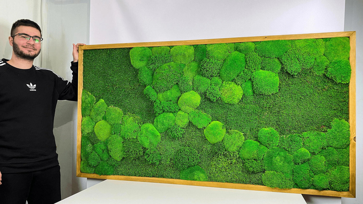 Framed Moss Wall Art Maintenance Free, Living Wall for Home, Restaurant, Shop or Office Decor, Vertical garden CAREFREE | VARIOUS-SIZE