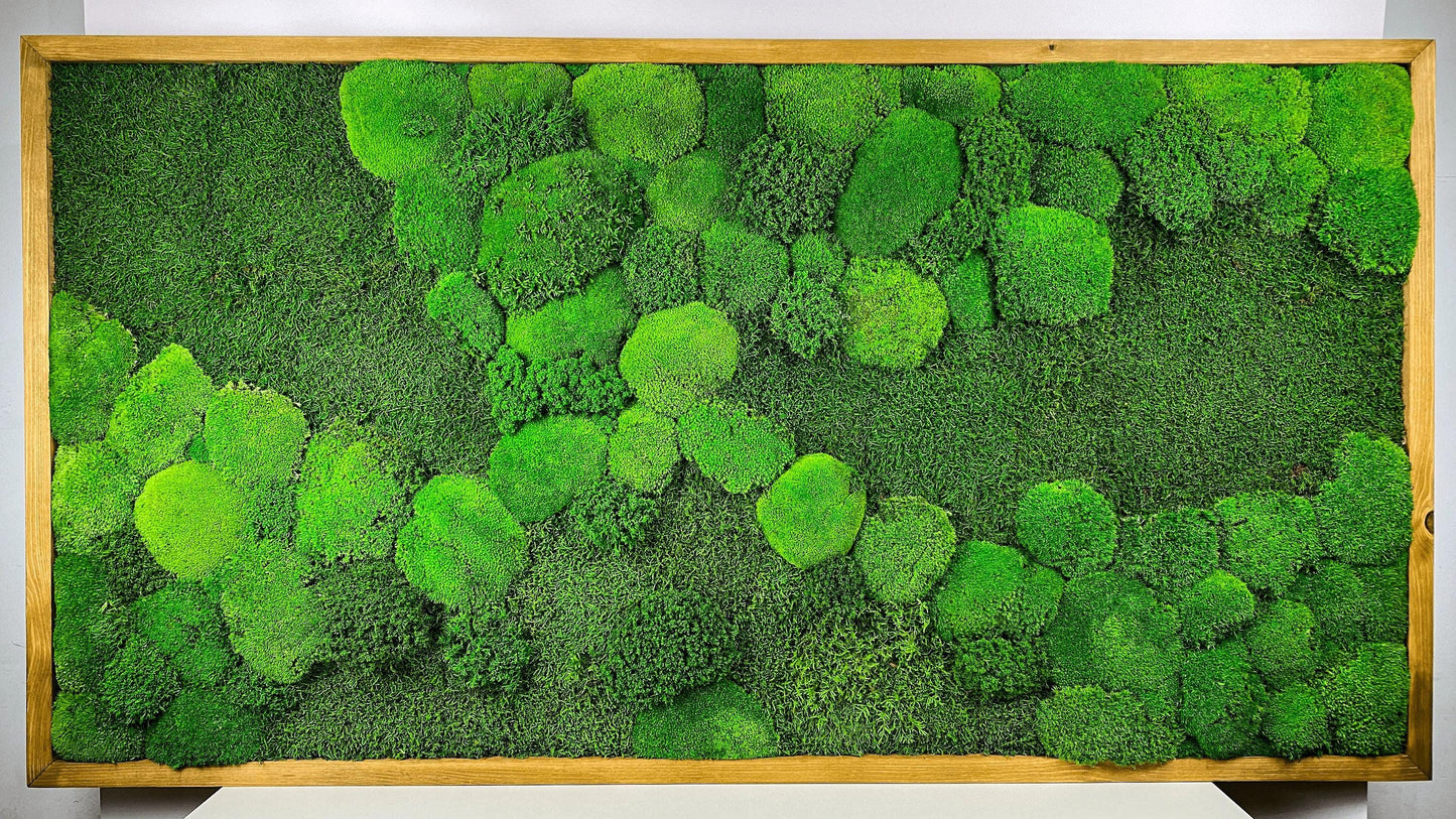 Framed Moss Wall Art Maintenance Free, Living Wall for Home, Restaurant, Shop or Office Decor, Vertical garden CAREFREE | VARIOUS-SIZE