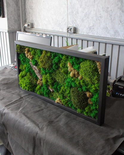 Artisan Moss & Bark Wall Art | Sustainable Home Decor