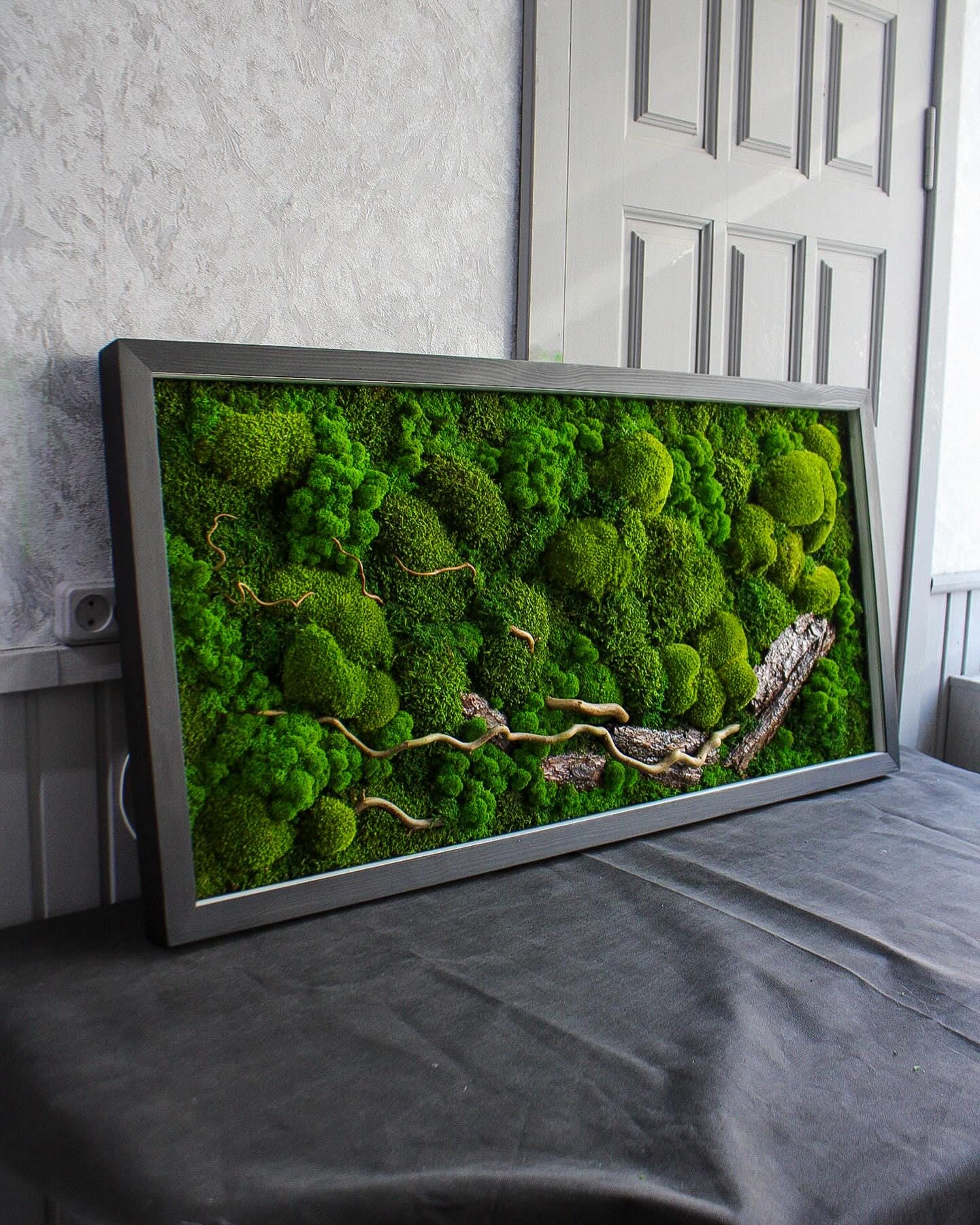 Illuminated Nature: Moss, Bark & Branch Wall Art with LED Backlighting | Eco-Friendly, Handmade Botanical Decor