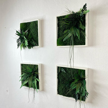 Moss Wall Art, Square Preserved Moss Grasses & Fern Art with Eucalyptus, Nature-Inspired Wall Decor, Custom Botanical Artwork