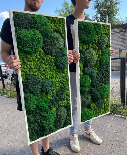 Tranquil Nature Escape: Unique Mix of Preserved Moss, Lichens, & Flat Greenery Wall Art, CAREFREE | VARIOUS-SIZE