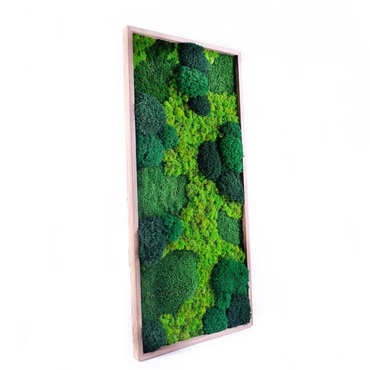 Tranquil Nature Escape: Unique Mix of Preserved Moss, Lichens, & Flat Greenery Wall Art, CAREFREE | VARIOUS-SIZE
