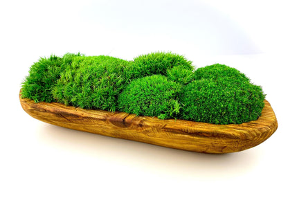 Elegant Preserved Moss Wooden Bowl Centerpiece, Hand-Carved Rustic Dough Bowl, Nature-Inspired Table Decor, CAREFREE | VARIOUS-SIZE