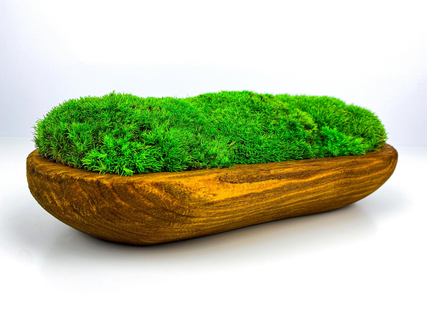 Rustic Moss Centerpiece Bowl | Hand-Carved Preserved Moss Table Decor | Unique Natural Dough Bowl, CAREFREE | VARIOUS-SIZE