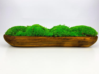 Handcrafted Preserved Moss Bowl | Unique Natural Centerpiece for Table Decor | Eco-Friendly Rustic Dough Bowl CAREFREE | VARIOUS-SIZE