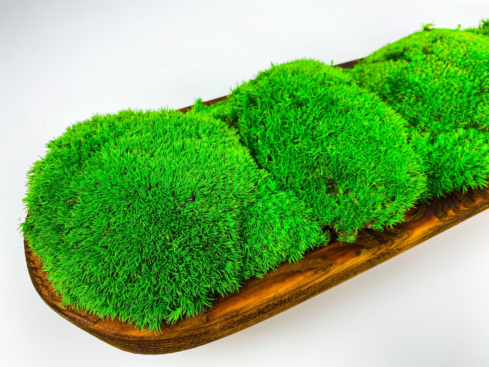 Handcrafted Preserved Moss Bowl | Unique Natural Centerpiece for Table Decor | Eco-Friendly Rustic Dough Bowl CAREFREE | VARIOUS-SIZE