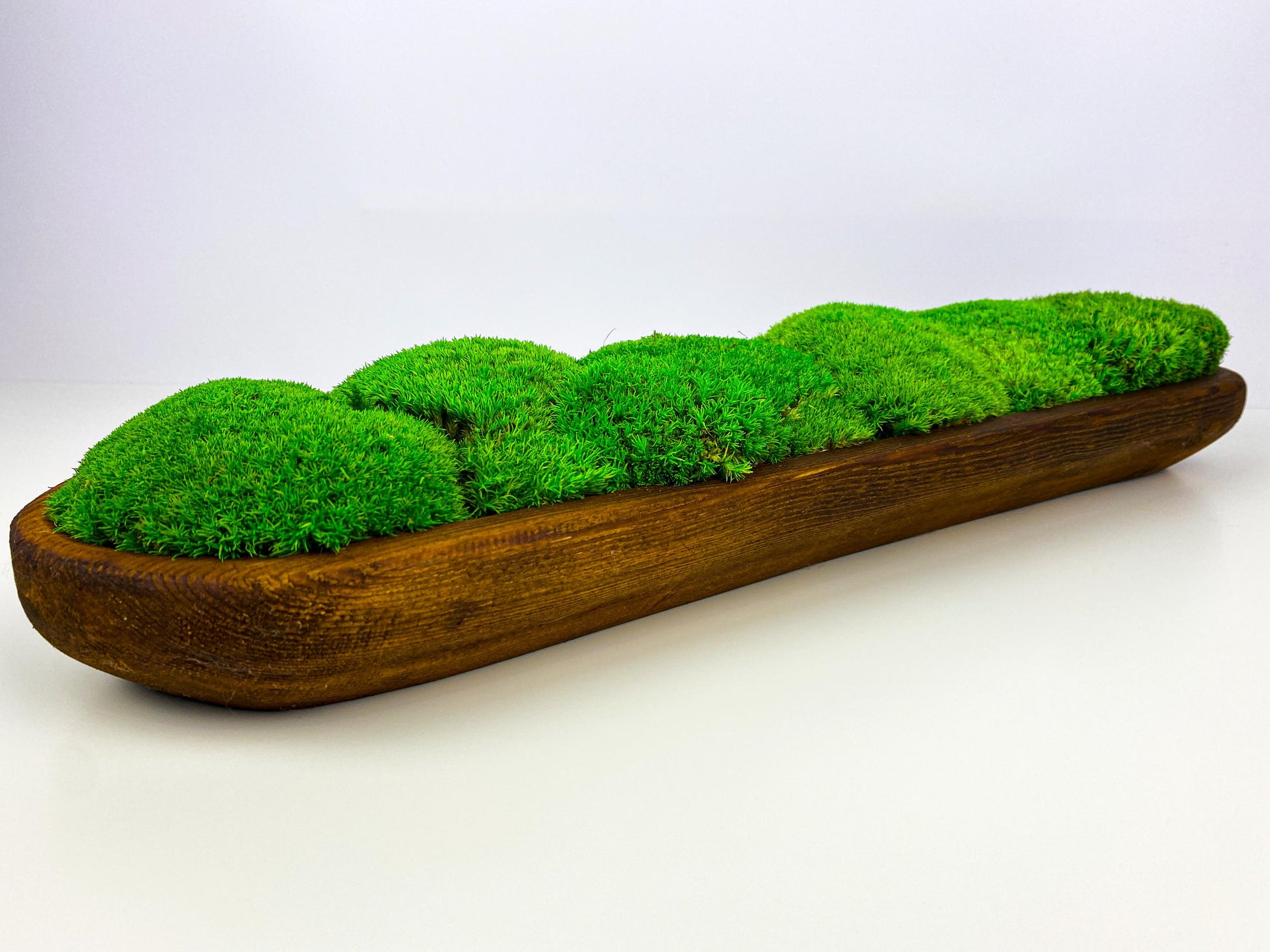 Preserved Moss Rustic Wooden Bowl – Handcrafted Centerpiece for Table, Moss Decor, Sustainable & Natural CAREFREE | VARIOUS-SIZE