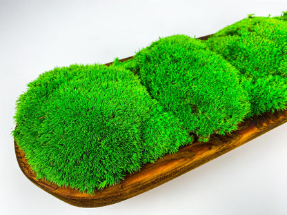 Rustic Table Arrangement, Handcrafted Moss Bowl Centerpiece, Natural Preserved Moss, Eco-Friendly Home Decor, Indoor Moss Art, CAREFREE