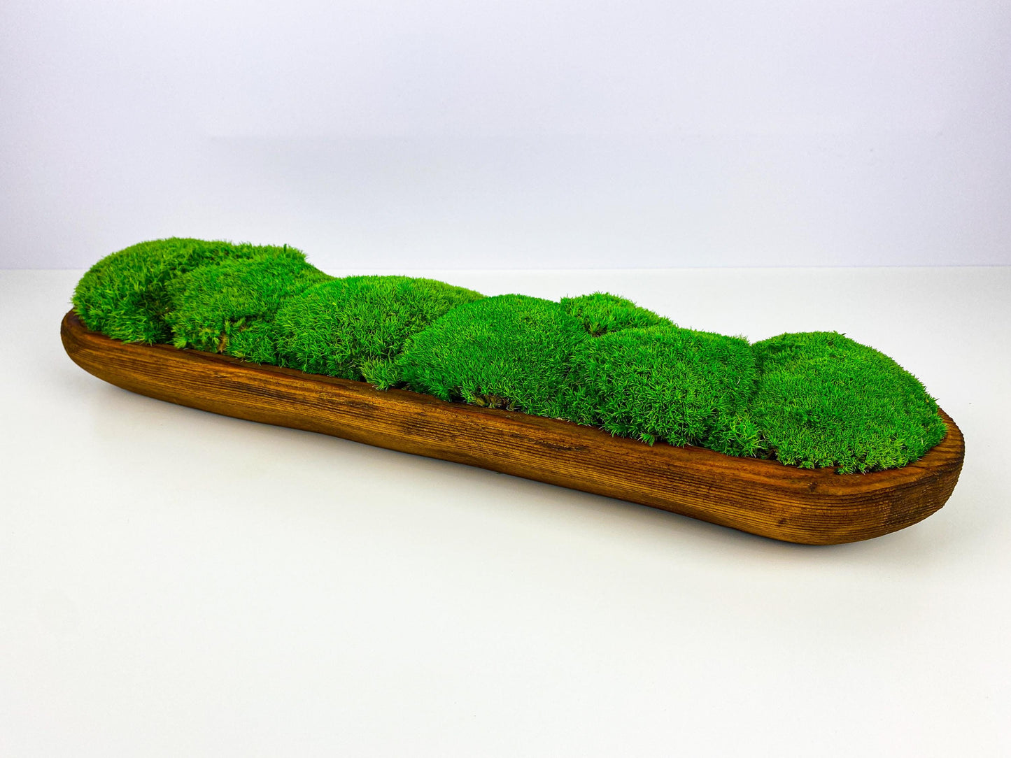 Centerpiece Moss Planter Arrangement Pole Bun Pillow Tabletop, Rustic Table Decor, Nature-Inspired Indoor Accent, CAREFREE | VARIOUS-SIZE