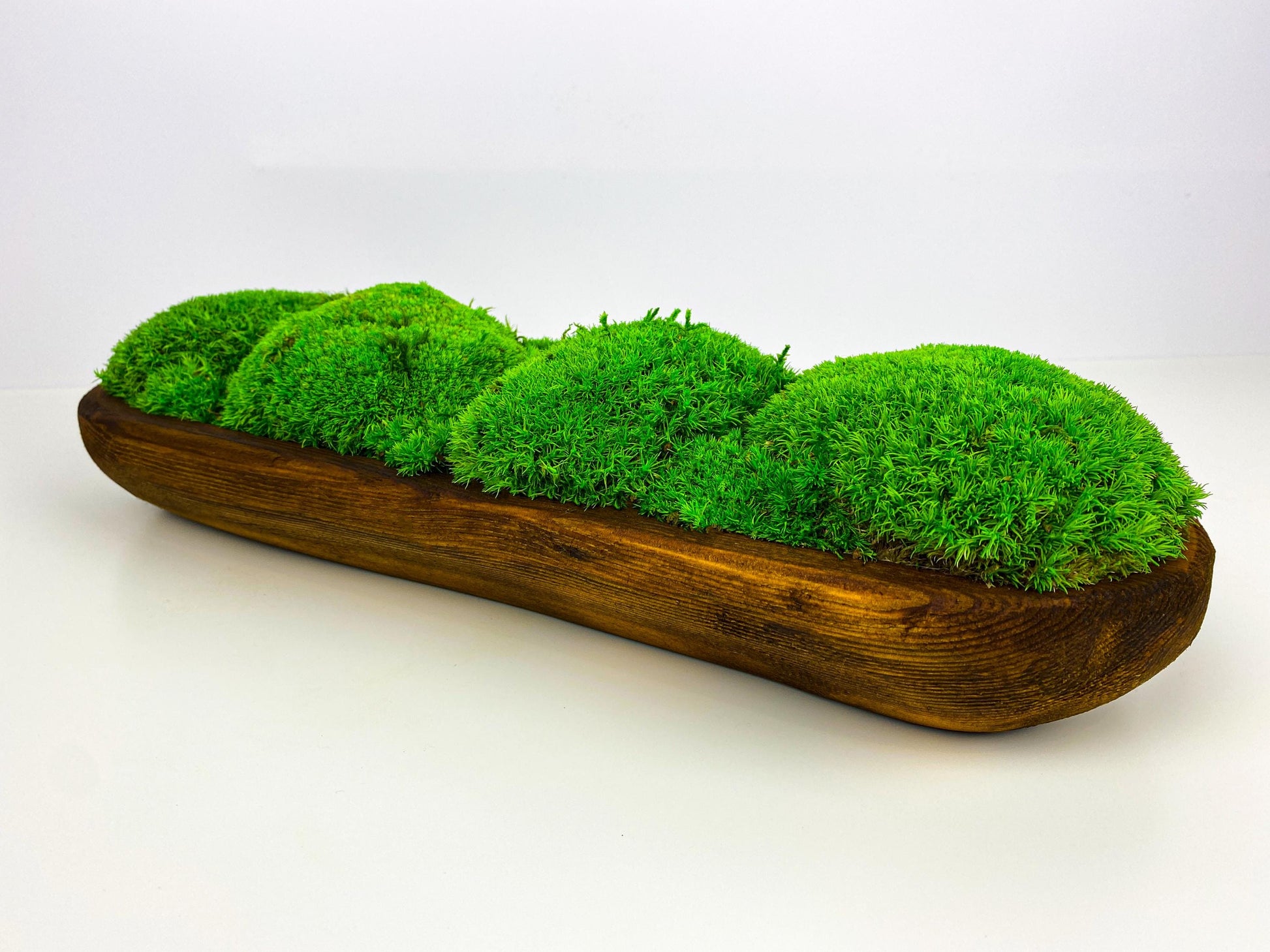 Centerpiece Moss Planter Arrangement Pole Bun Pillow Tabletop, Rustic Table Decor, Nature-Inspired Indoor Accent, CAREFREE | VARIOUS-SIZE