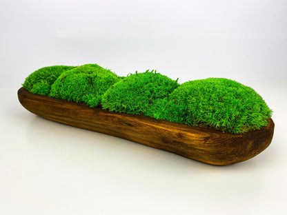 Centerpiece Moss Planter Arrangement Pole Bun Pillow Tabletop, Rustic Table Decor, Nature-Inspired Indoor Accent, CAREFREE | VARIOUS-SIZE