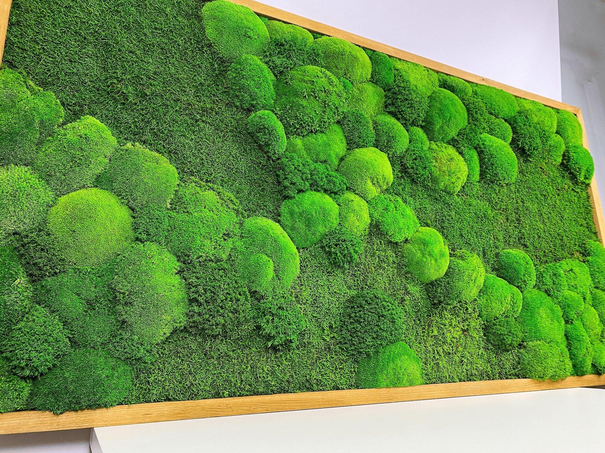 Framed Moss Wall Art Maintenance Free, Living Wall for Home, Restaurant, Shop or Office Decor, Vertical garden CAREFREE | VARIOUS-SIZE