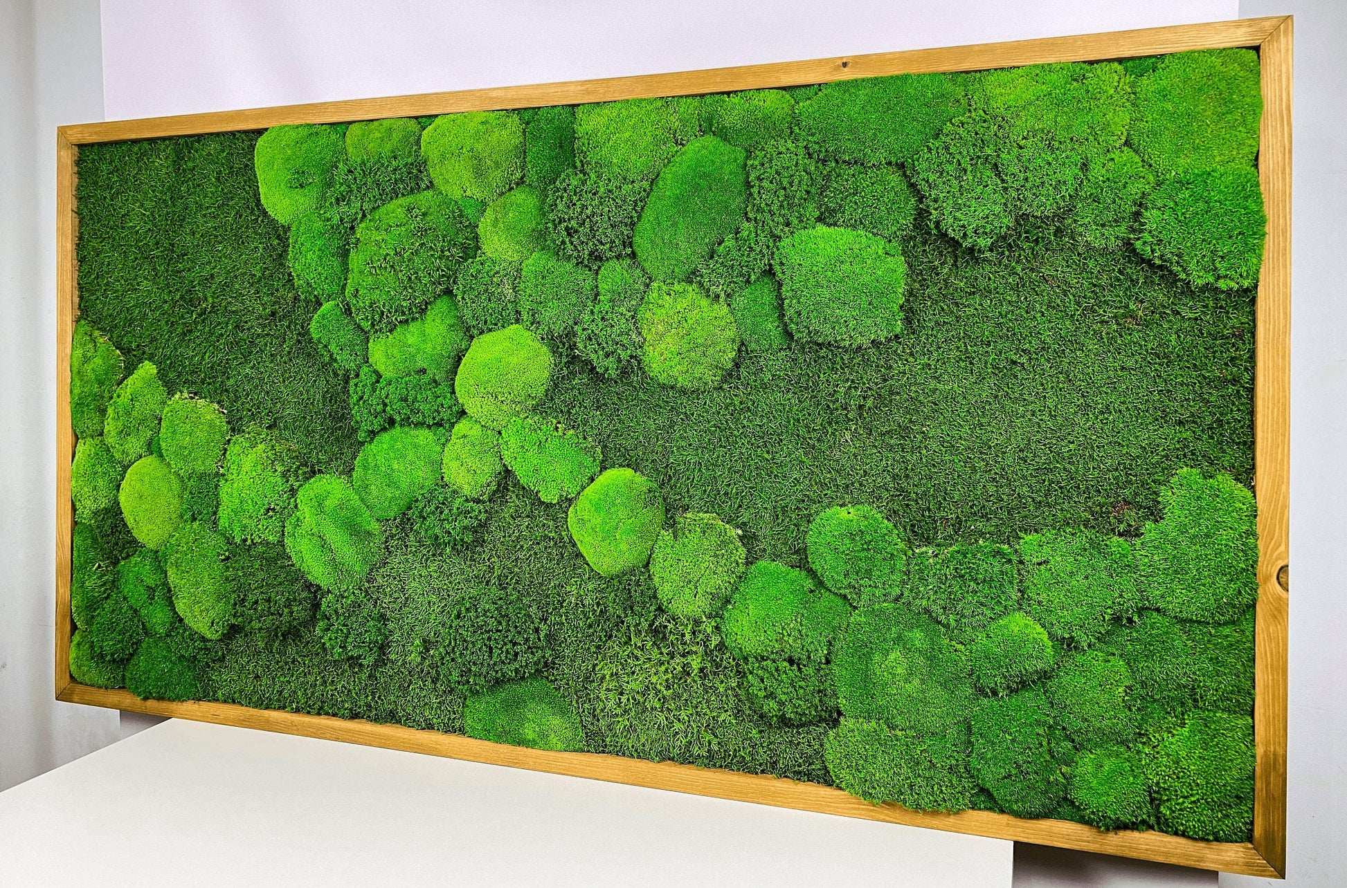 Framed Moss Wall Art Maintenance Free, Living Wall for Home, Restaurant, Shop or Office Decor, Vertical garden CAREFREE | VARIOUS-SIZE