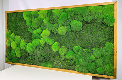 Framed Moss Wall Art Maintenance Free, Living Wall for Home, Restaurant, Shop or Office Decor, Vertical garden CAREFREE | VARIOUS-SIZE