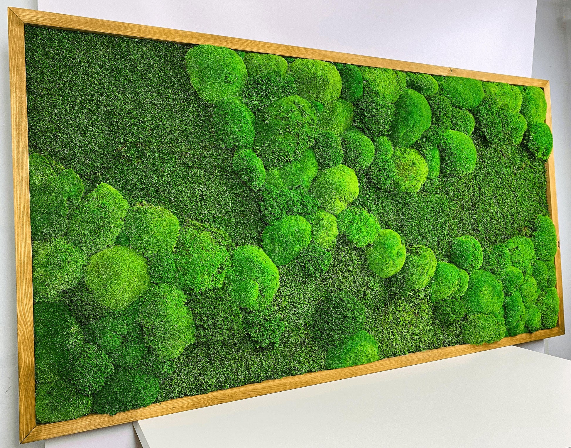 Framed Moss Wall Art Maintenance Free, Living Wall for Home, Restaurant, Shop or Office Decor, Vertical garden CAREFREE | VARIOUS-SIZE