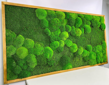Framed Moss Wall Art Maintenance Free, Living Wall for Home, Restaurant, Shop or Office Decor, Vertical garden CAREFREE | VARIOUS-SIZE