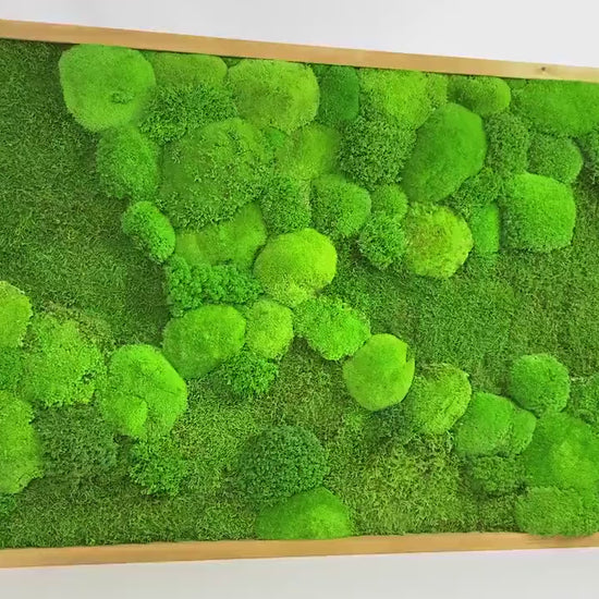 Framed Moss Wall Art Maintenance Free, Living Wall for Home, Restaurant, Shop or Office Decor, Vertical garden CAREFREE | VARIOUS-SIZE