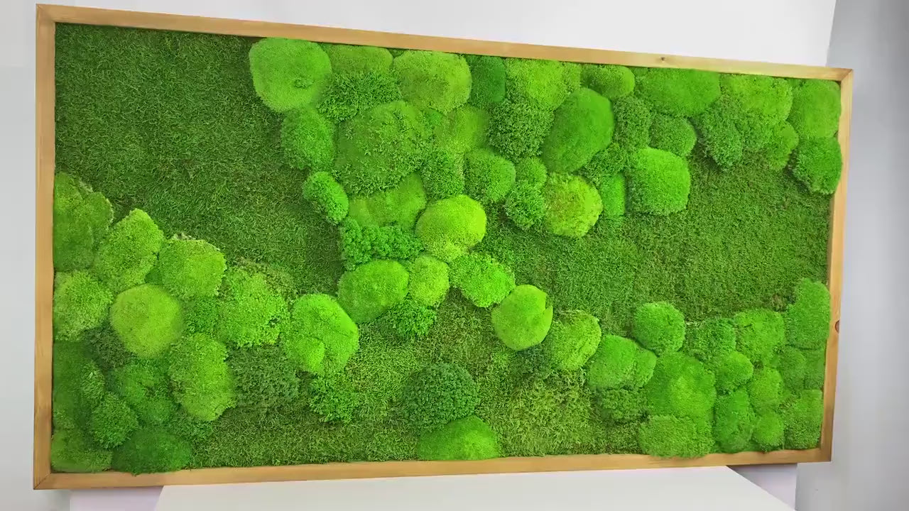 Framed Moss Wall Art Maintenance Free, Living Wall for Home, Restaurant, Shop or Office Decor, Vertical garden CAREFREE | VARIOUS-SIZE