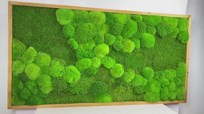 Framed Moss Wall Art Maintenance Free, Living Wall for Home, Restaurant, Shop or Office Decor, Vertical garden CAREFREE | VARIOUS-SIZE