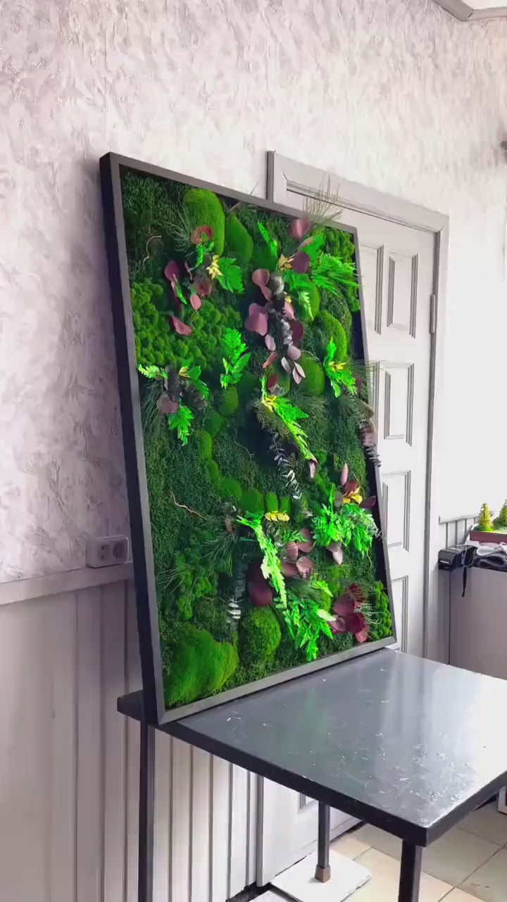 Nature’s Harmony Moss Art - Preserved Moss, Eucalyptus, Fern, Dried Flowers & Branches Wall Decor | Rustic Wall Art for Home or Office